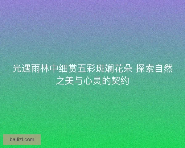光遇雨林中细赏五彩斑斓花朵 探索自然之美与心灵的契约