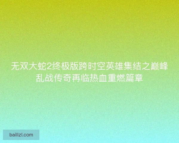 无双大蛇2终极版跨时空英雄集结之巅峰乱战传奇再临热血重燃篇章