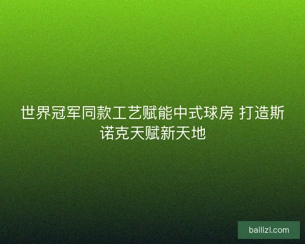 世界冠军同款工艺赋能中式球房 打造斯诺克天赋新天地